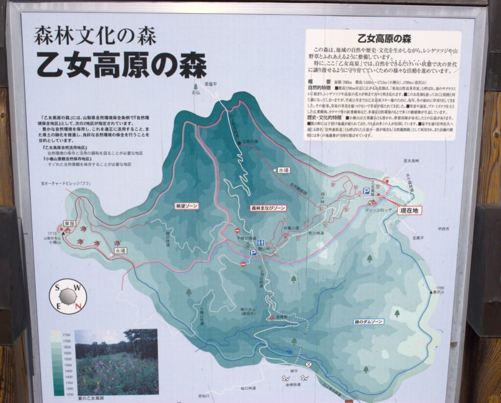 乙女高原散策マップ