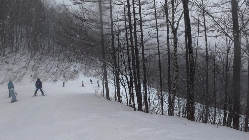 雪降るオグナほたかスキー場