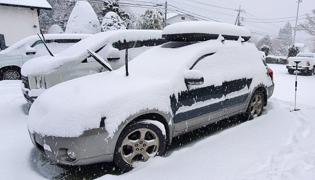 雪をかぶったアウトバック