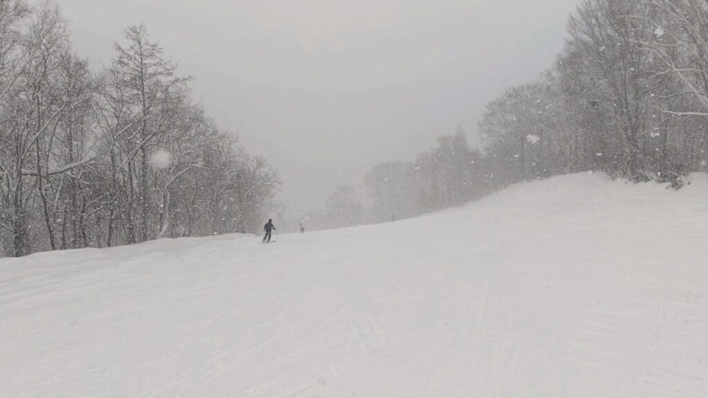 吹雪きの中をスキーで滑る人
