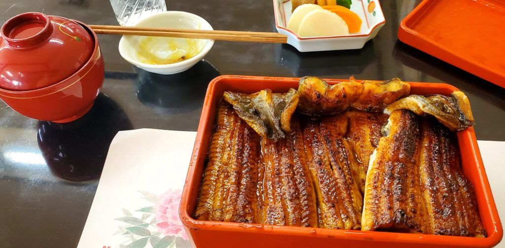 成田駿河屋特上うな重