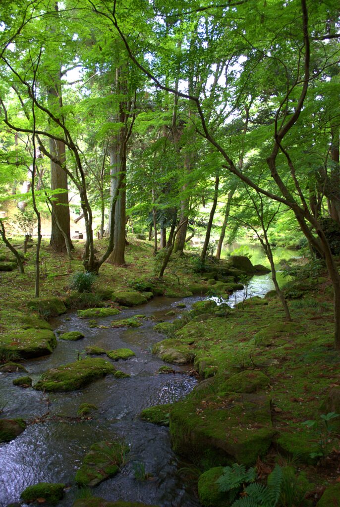 成田山公園内を流れる小川