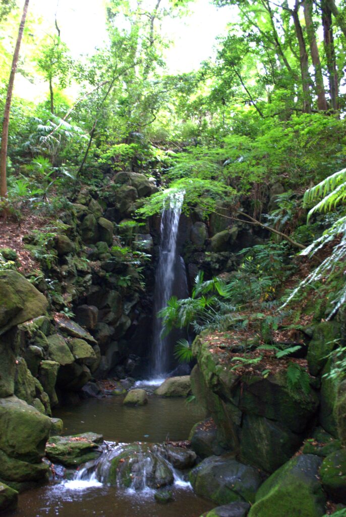 成田山公園にある雄飛の滝