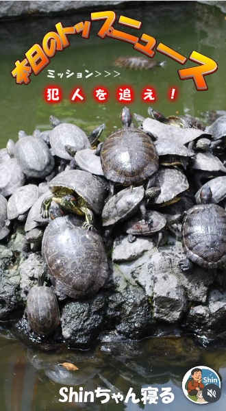 成田山新勝寺のカメ山