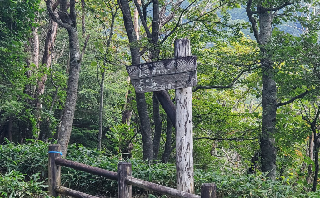 山王林道沿いにある旧山王峠0.3kmと光徳2.4kmを示す木製道標