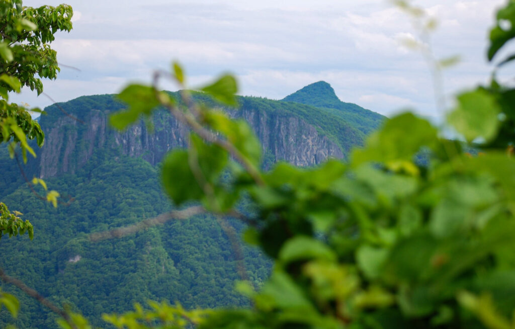 木々の間から望む台地状の山容を持つ荒船山