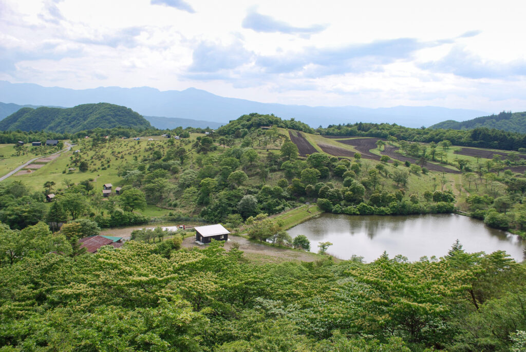 高台から見下ろす荒船パノラマキャンプフィールドと池