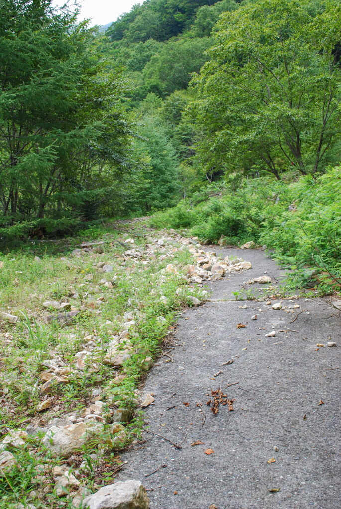 西沢金山跡の山中に残る土砂や石が散乱した旧道