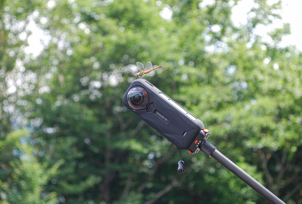 山王林道でInsta360 X5を取り付けた自撮り棒の先に止まったトンボ