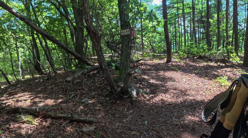 榊山へ向かう途中にある榊山南峰の山名標識と樹林帯