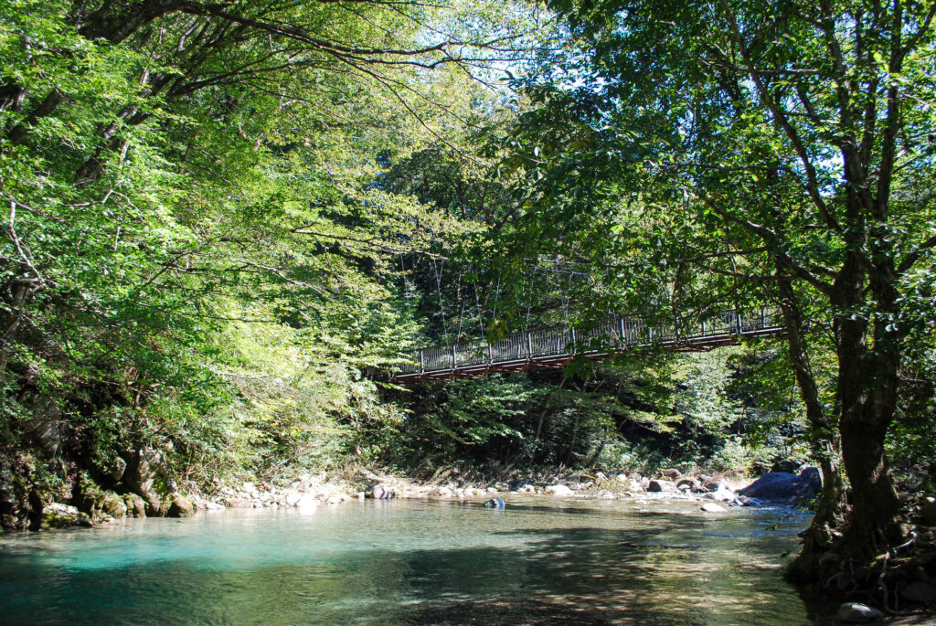 木の俣園地を流れる透明度の高い木の俣川。緑に囲まれた穏やかな川面。