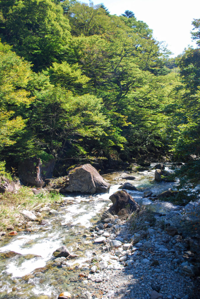 木の俣川の渓流と川の中に点在する大きな岩。周囲には豊かな緑が広がっている。