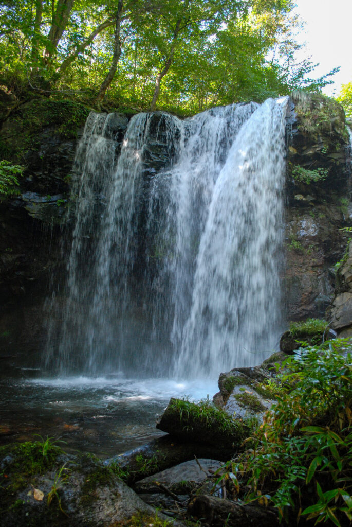 栃木県那須塩原市の乙女の滝。緑に囲まれた岩壁から白い水が幅広く流れ落ち、滝壺に注いでいる。