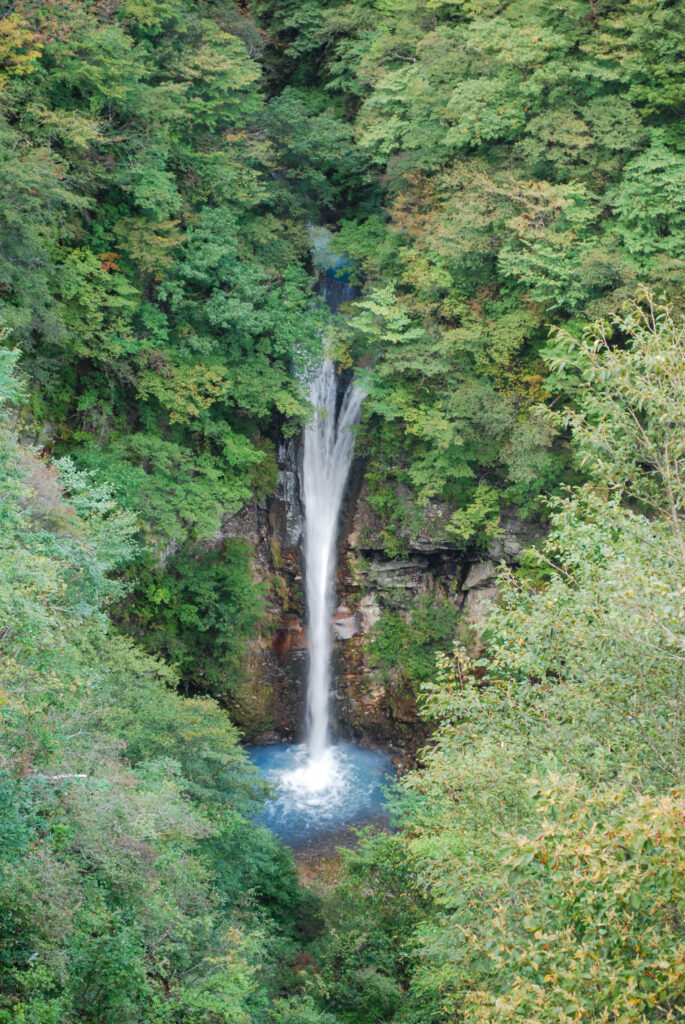 栃木県那須町の駒止の滝。緑に覆われた深い渓谷を白い滝が流れ落ち、青い滝壺に注いでいる