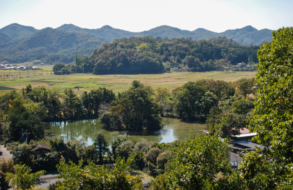 磯山弁財天の高台から望む田園風景。池や緑の木々、遠くの山並みが広がる。